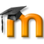 Collection logo